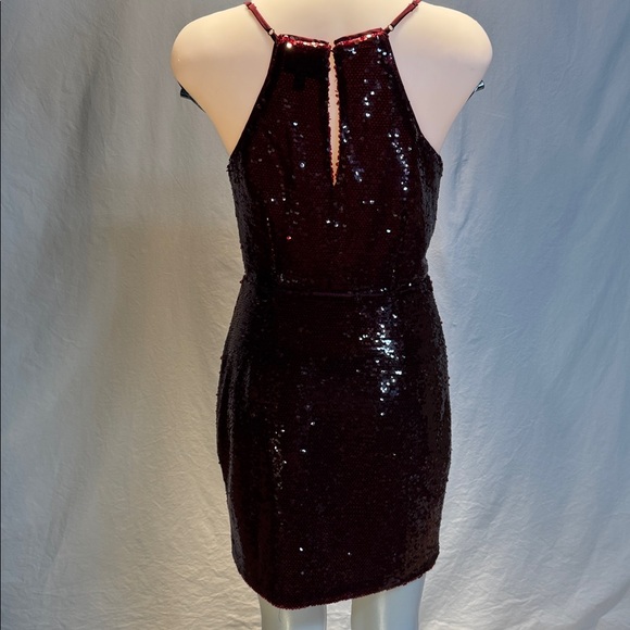 Greylin Deep Red Sequin Dress - Picture 5 of 12